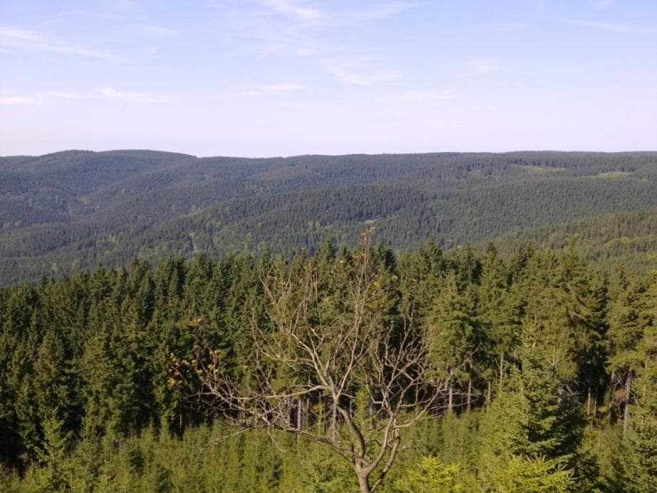 Sjezd z kraslického Špičáku