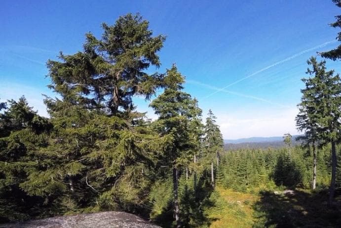 Sjezd po zelené turistické značce z Komářího vrchu do Stříbrné