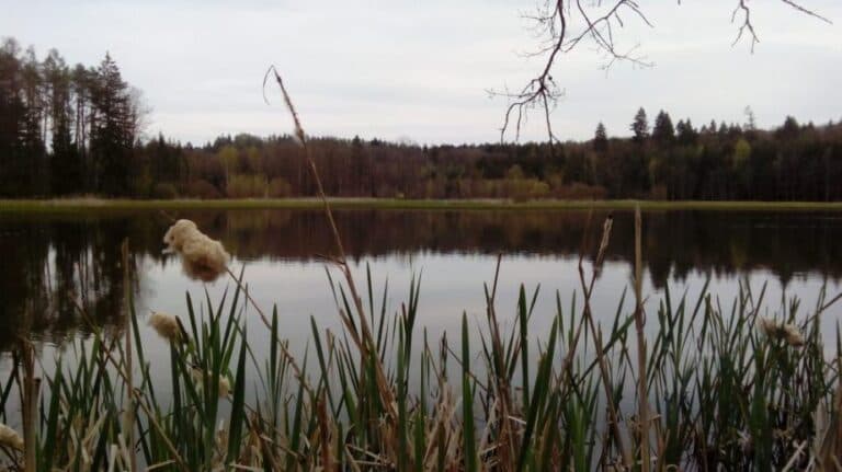 Cyklotrasa Plzeň Doubravka – Kokotské rybníky po červené a modré turistické trase
