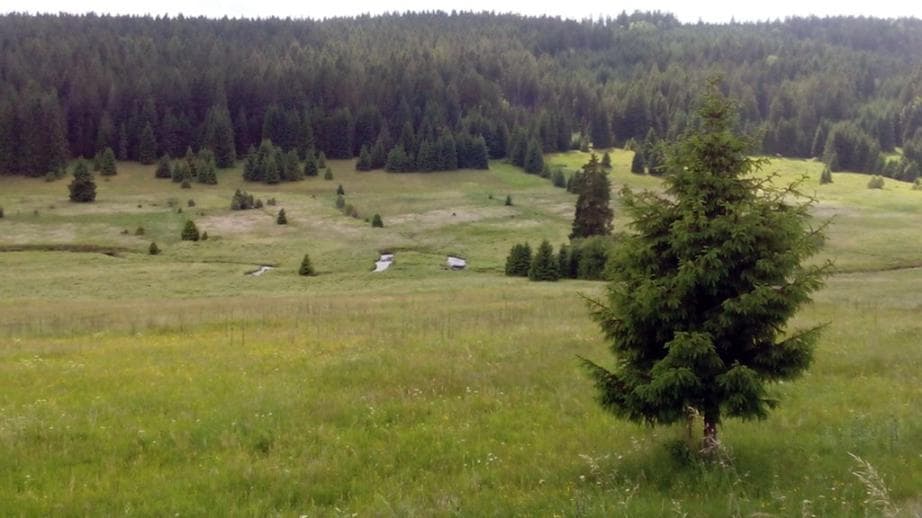 1. zóna NP - Zhůřské louky