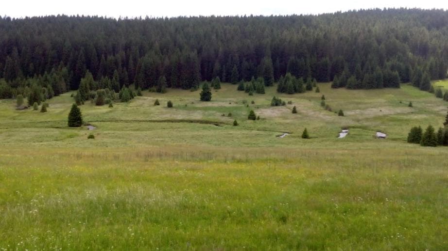 1. zóna NP - Zhůřské louky
