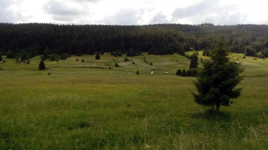 1. zóna NP - Zhůřské louky