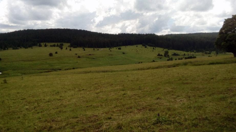 1. zóna NP - Zhůřské louky