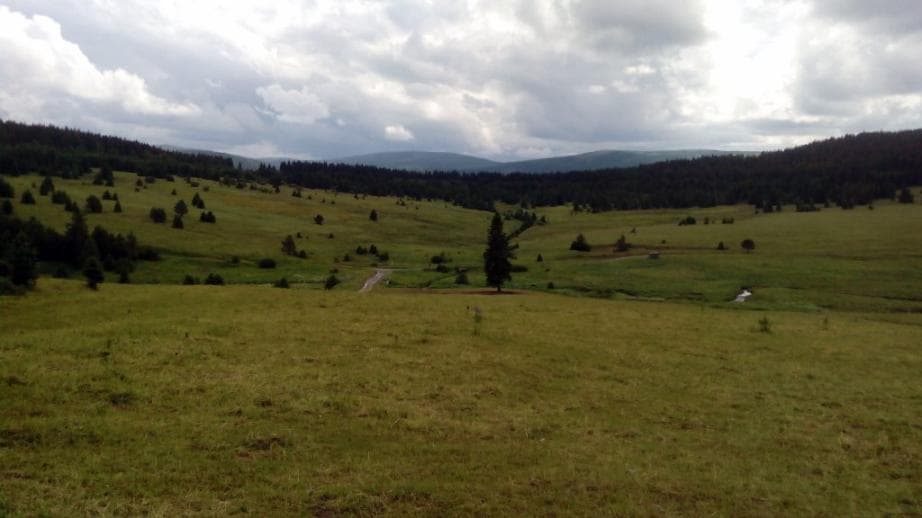1. zóna NP - Zhůřské louky