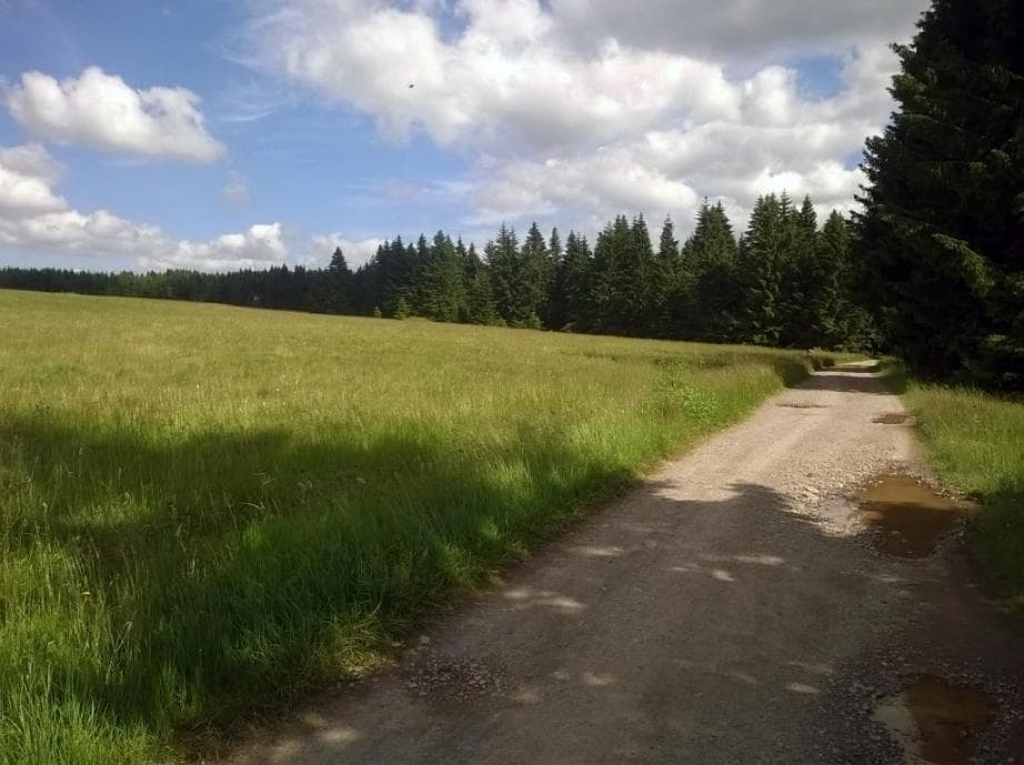 Cesta z Bludné