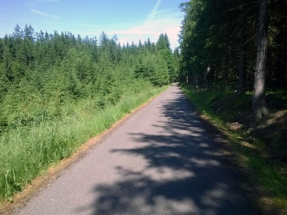 Lesní cesta podél Klabavy