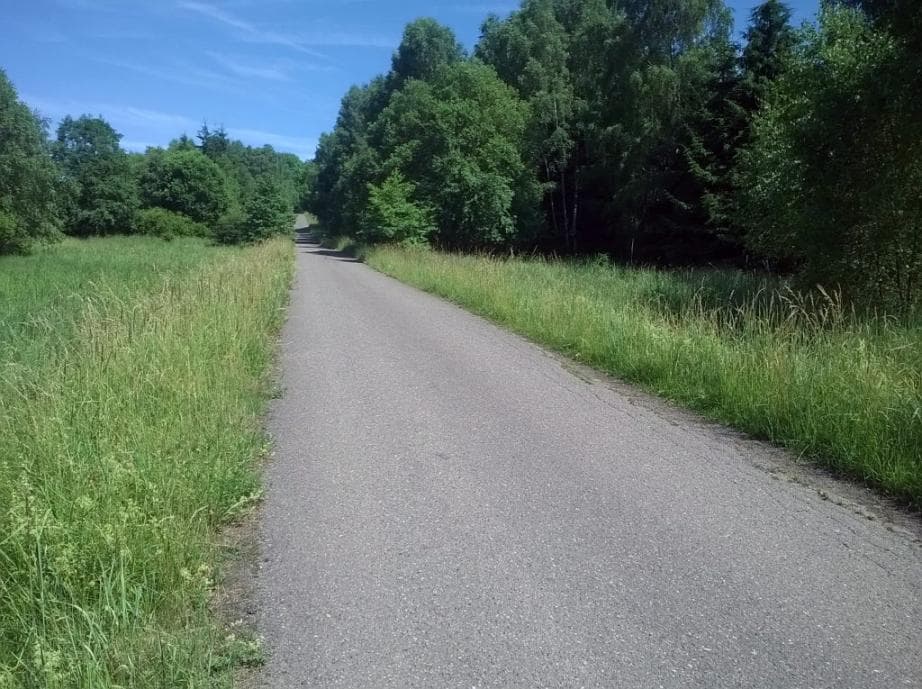 Stoupání od Dolejšího padrťského rybníka