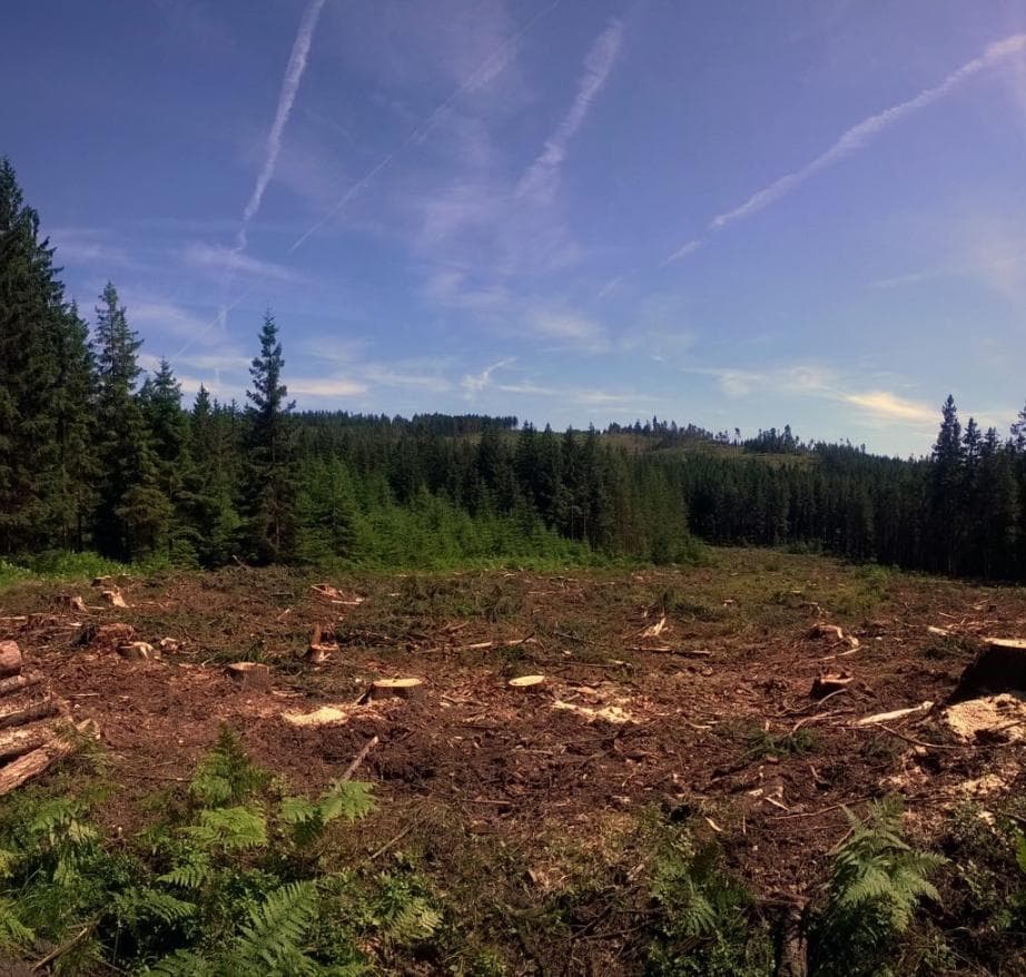 Pohled na vrchol Praha