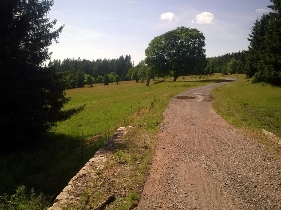 Cesta nad rozcestím Bor