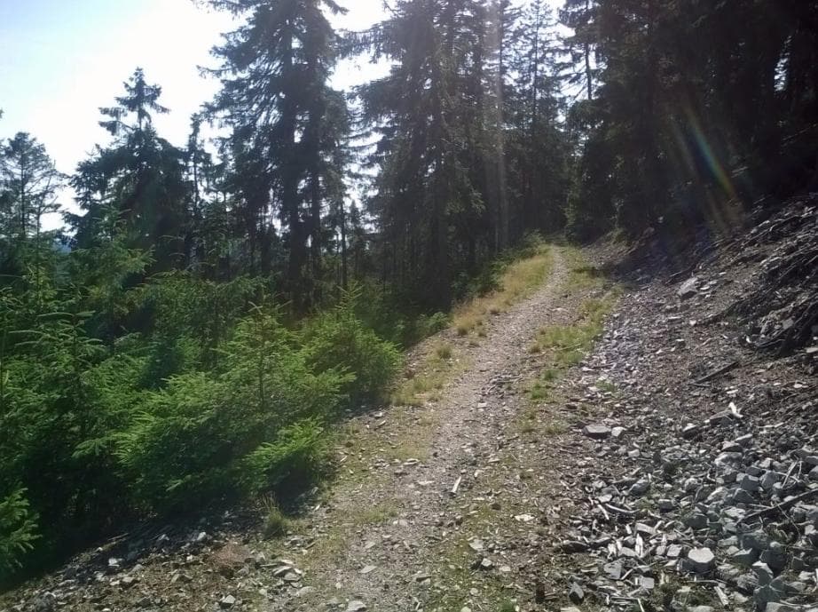 Cesta Horní Planýrka