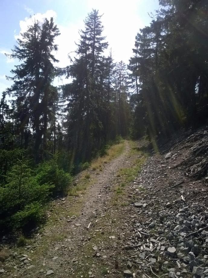 Cesta Horní Planýrka