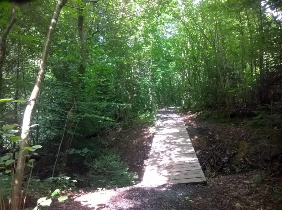 Lávka u Korečnického potoka