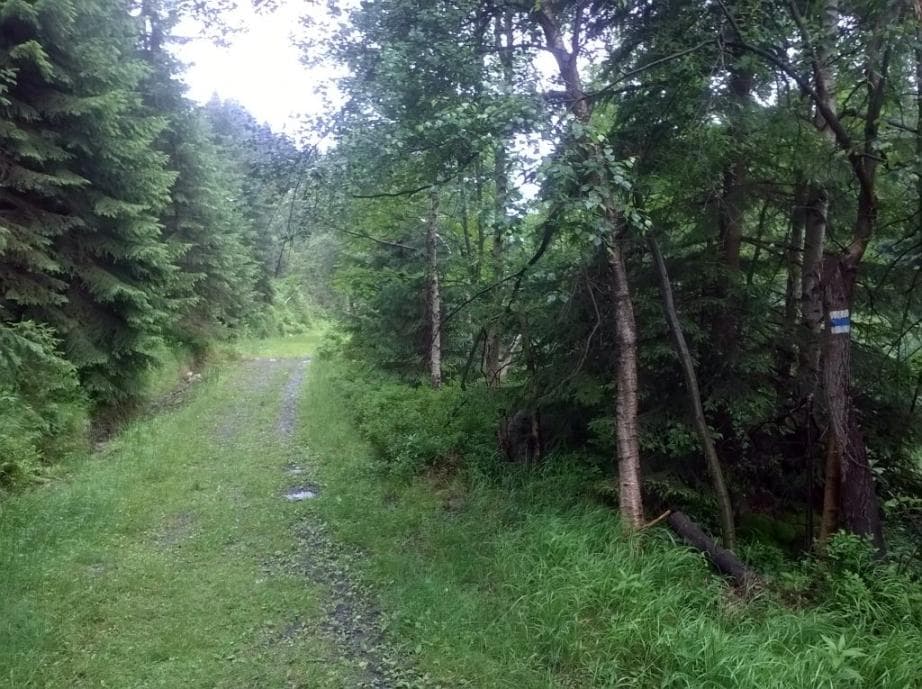 Sjezd po modré podél Kamenice