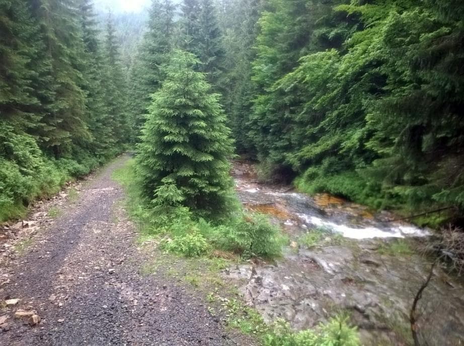 Sjezd po modré podél Kamenice