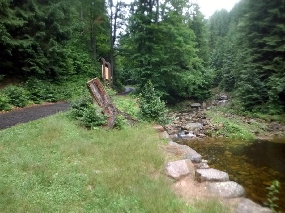 Cesta podél Kamenice