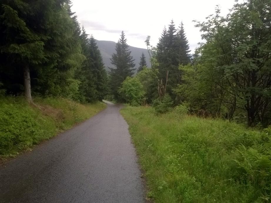 Sjezd od rozcestí Ručičky