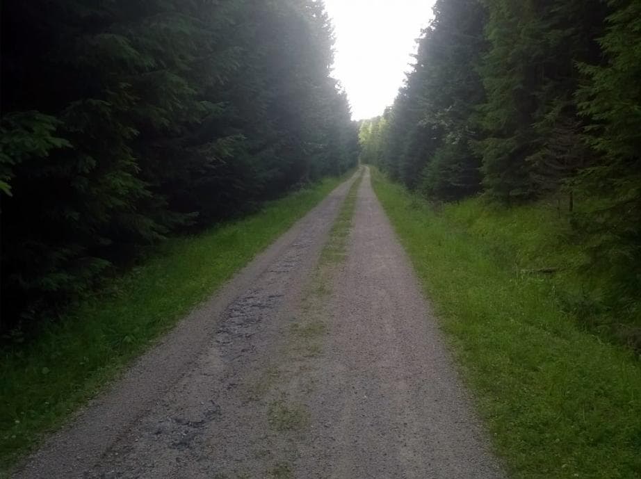 Knížecí cesta