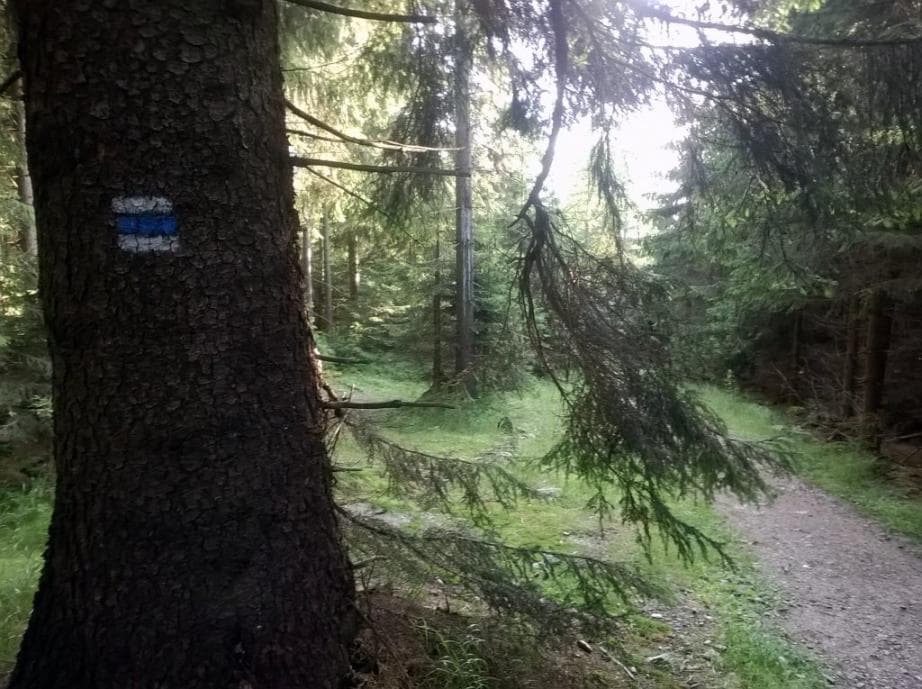 Sjezd k vodní nádrži Souš