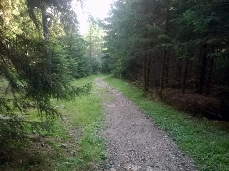 Sjezd k vodní nádrži Souš