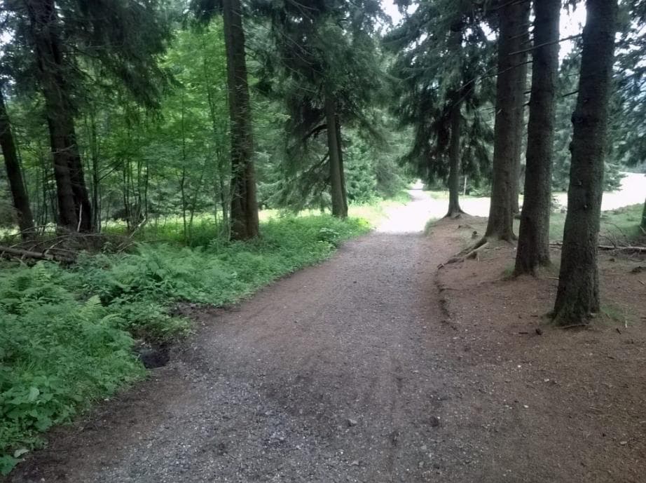 Sjezd od rozcestí Dvoračky - tur. ch.