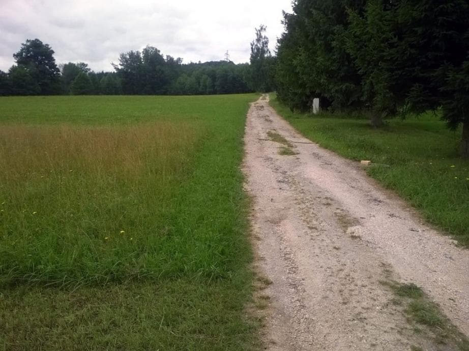 Výšlap v Pasekách nad Jizerou