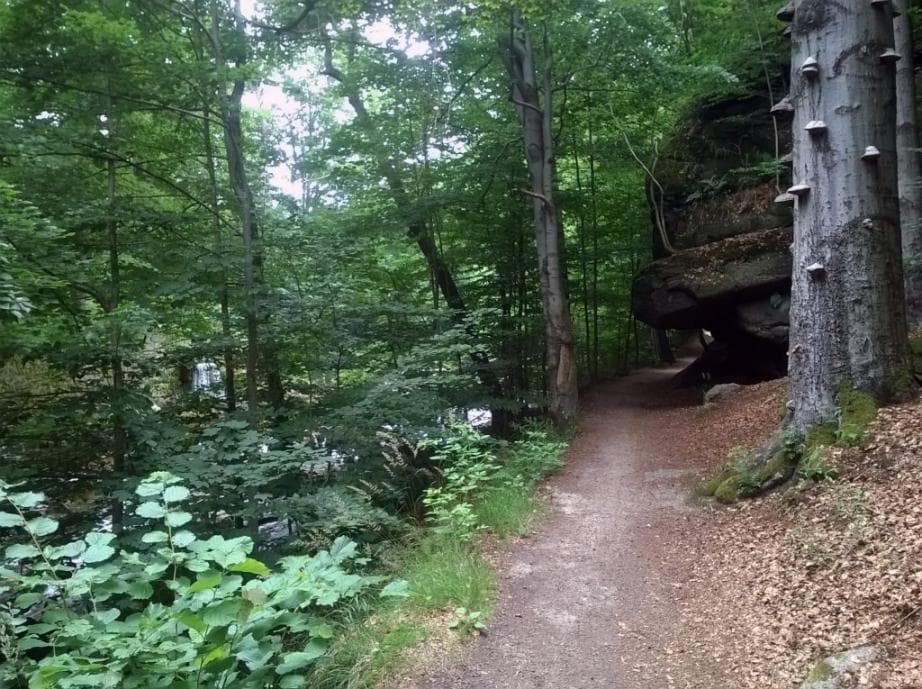 Tanvaldský okruh - modrá turistická značka