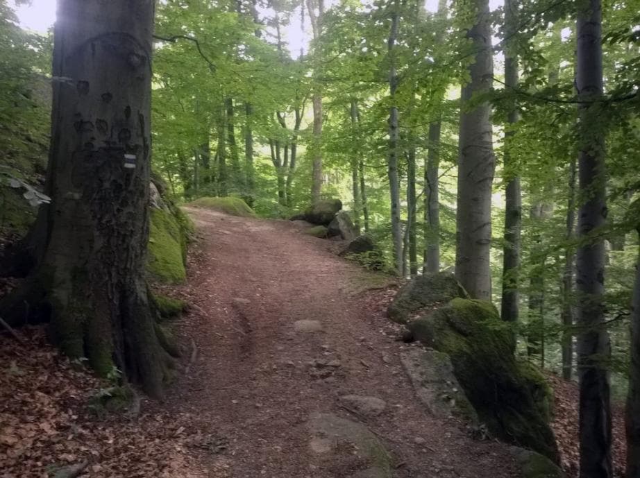 Výšlap na Tanvaldský Špičák
