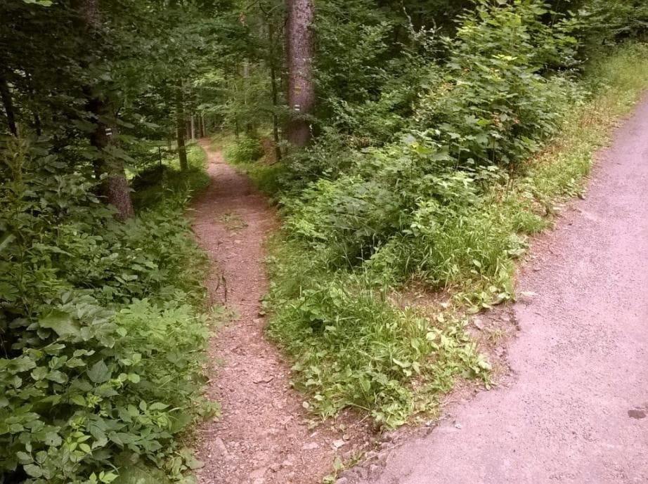 Sjezd po zelené do Kořenova