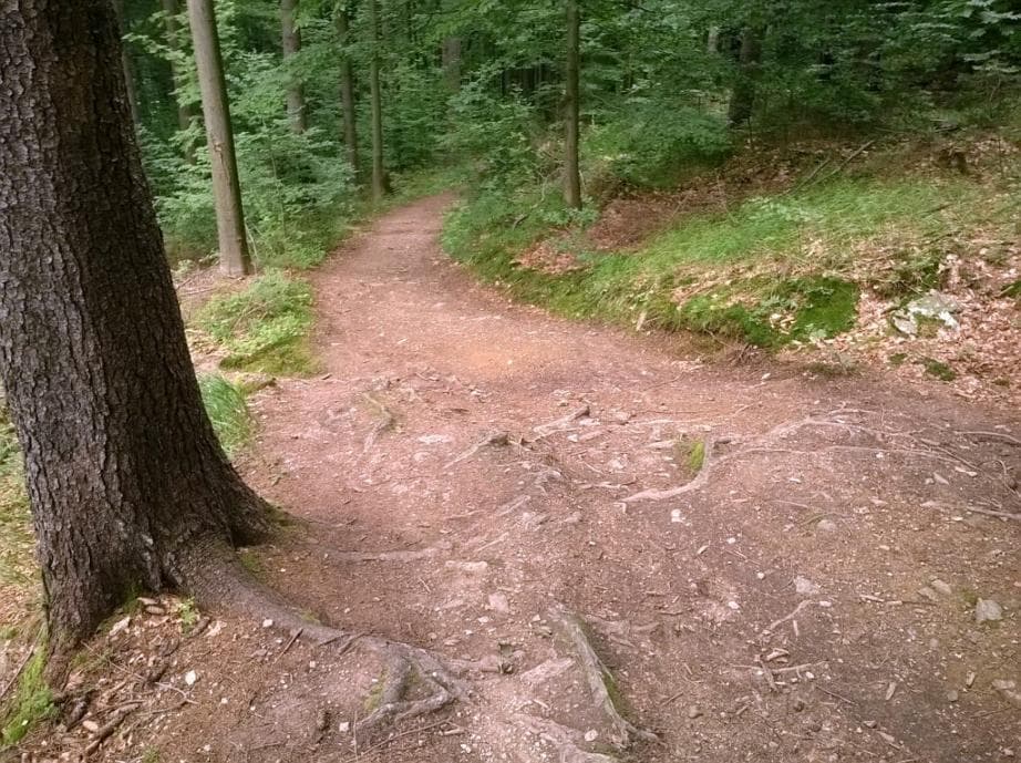Sjezd po zelené do Kořenova