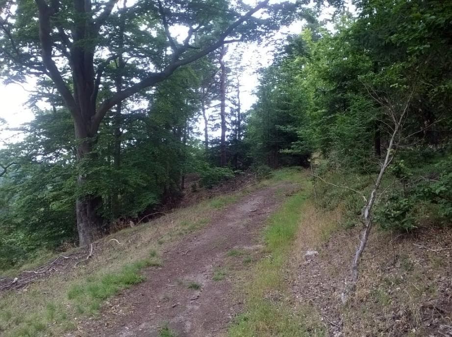 Cesta k Jeskynní vyhlídce