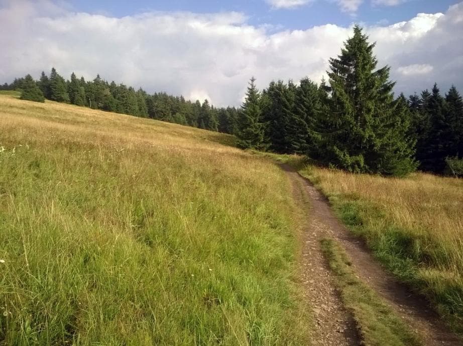 Z Božího Daru na Klínovec po červené