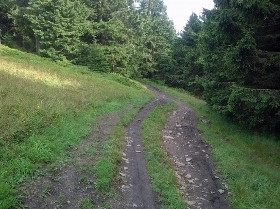 Z Božího Daru na Klínovec po červené
