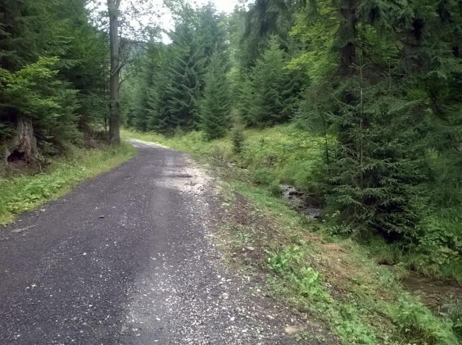 NS Montánní krajina Krušných hor