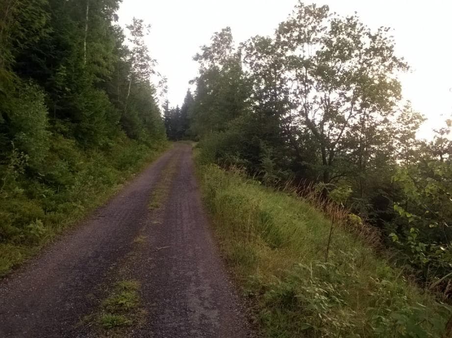 Cesta na Klínovec - trasa 2011