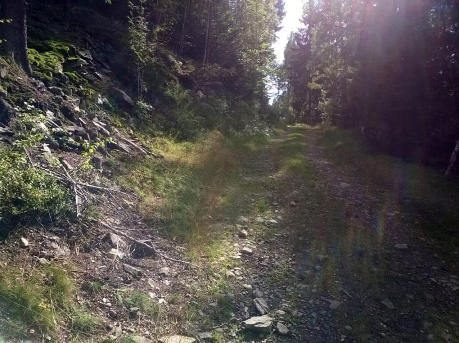 Cesta na Klínovec