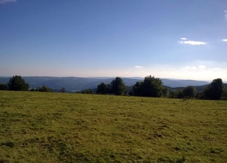 Pohled na Krušné hory