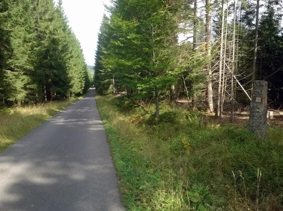 Cyklostezka Armádní