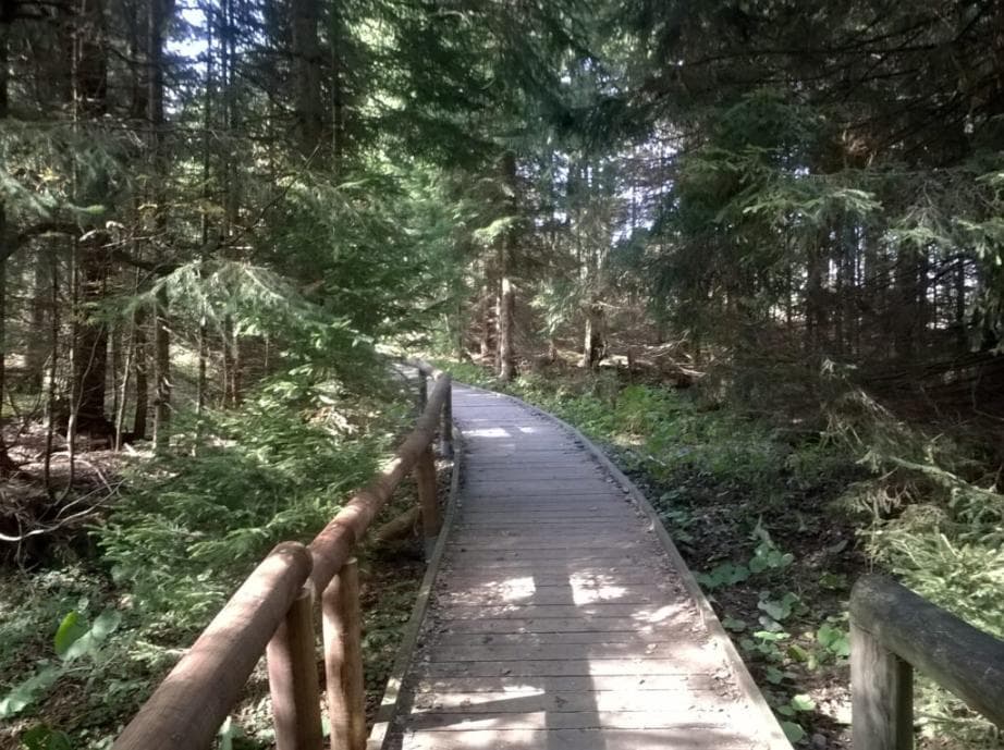 Lávka u jezera Laka