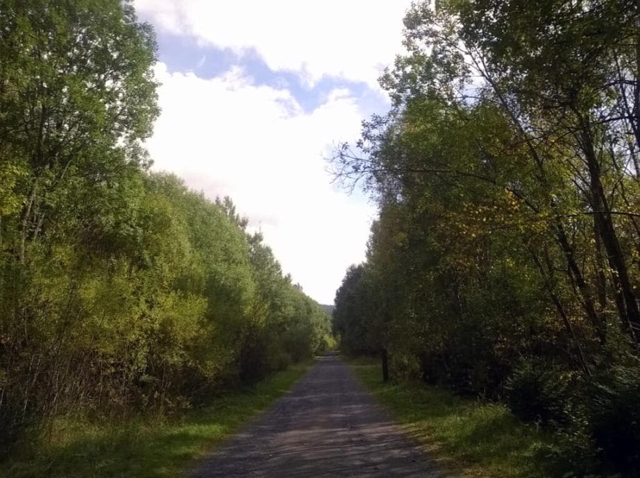 Cyklostezka Liščí díra k Prášilskému j.