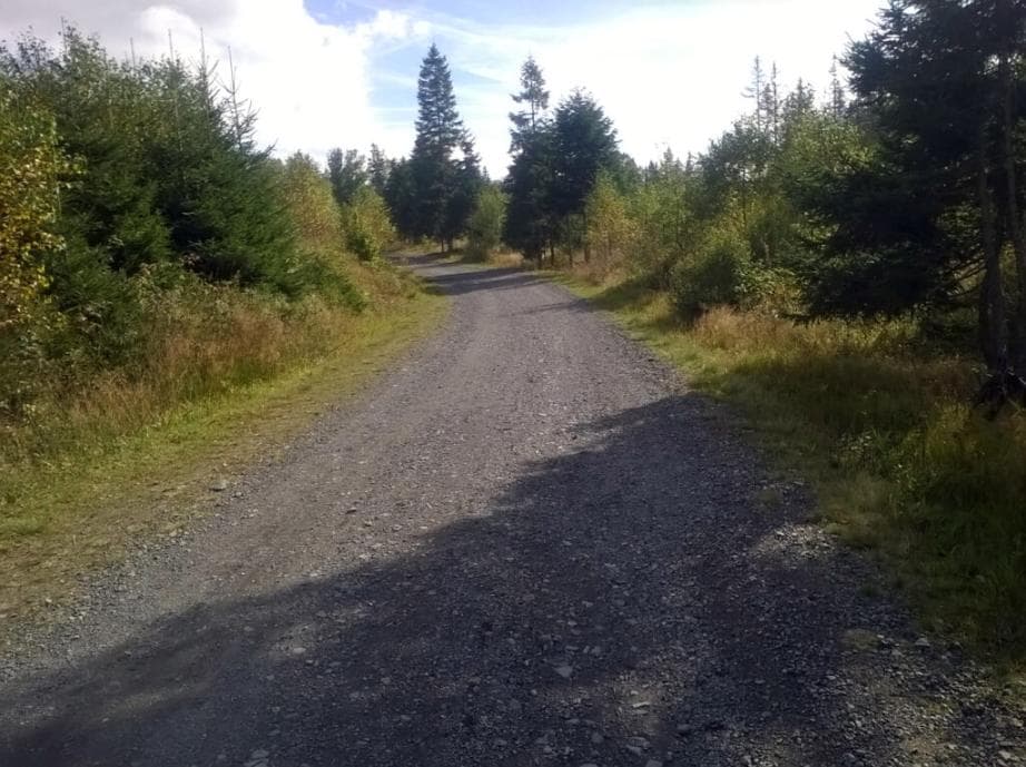 Cyklostezka Liščí díra k Prášilskému j.