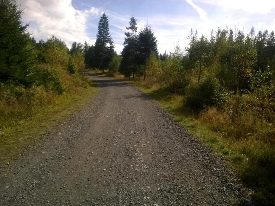 Cyklostezka Liščí díra k Prášilskému j.