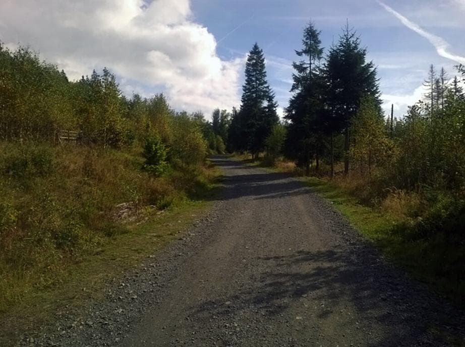 Cyklostezka Liščí díra k Prášilskému j.