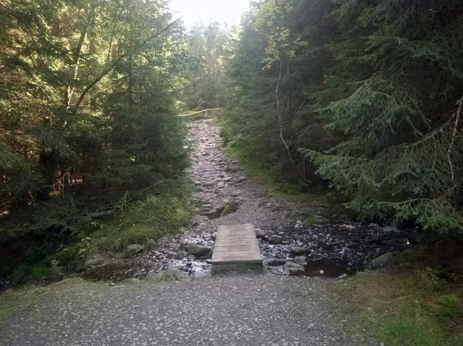 Stezka k Prášilskému jezeru