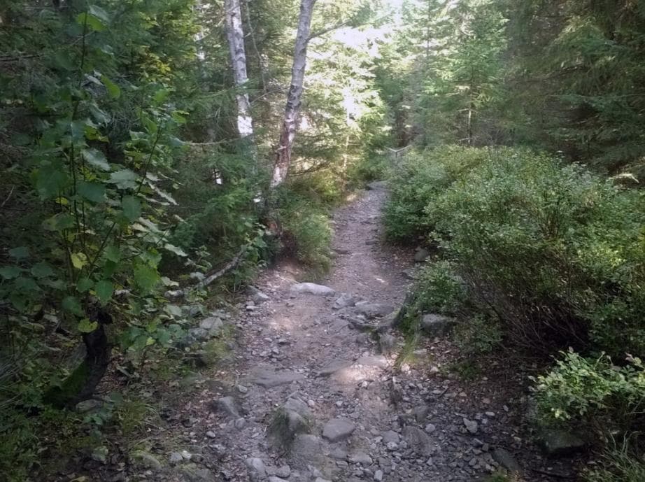 Stezka k Prášilskému jezeru