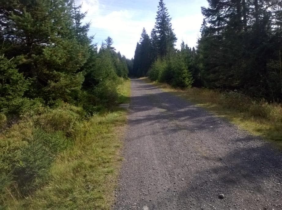 Cyklostezka Liščí díra k Poledníku