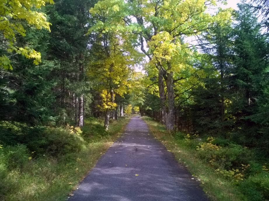 Cyklostezka Javoří cesta