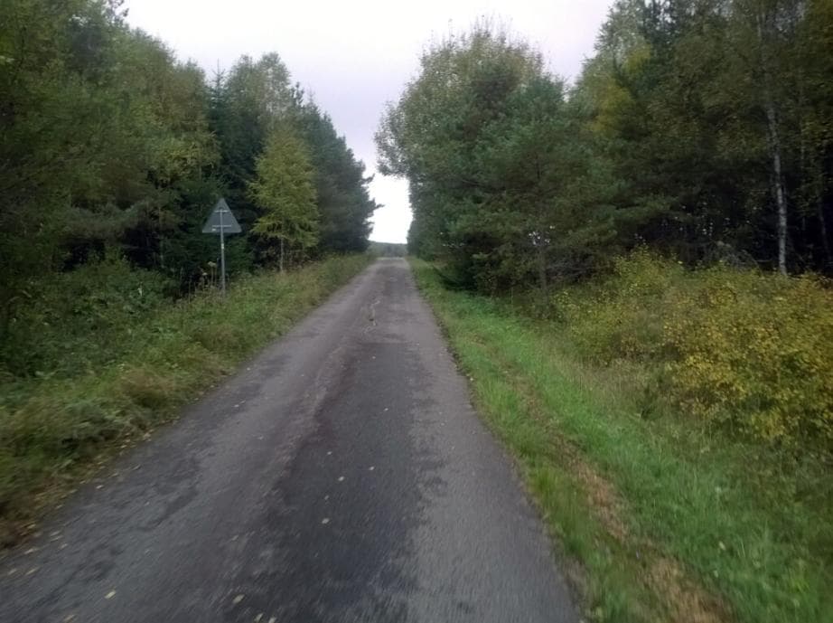 Cyklotrasa č. 2119 - Vysoké lávky