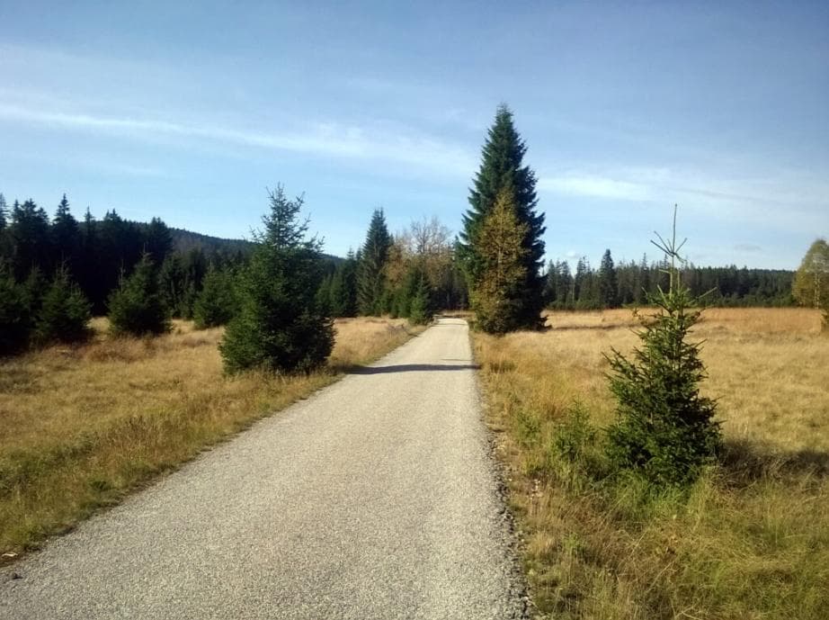 Jelení stezka ze Strážného
