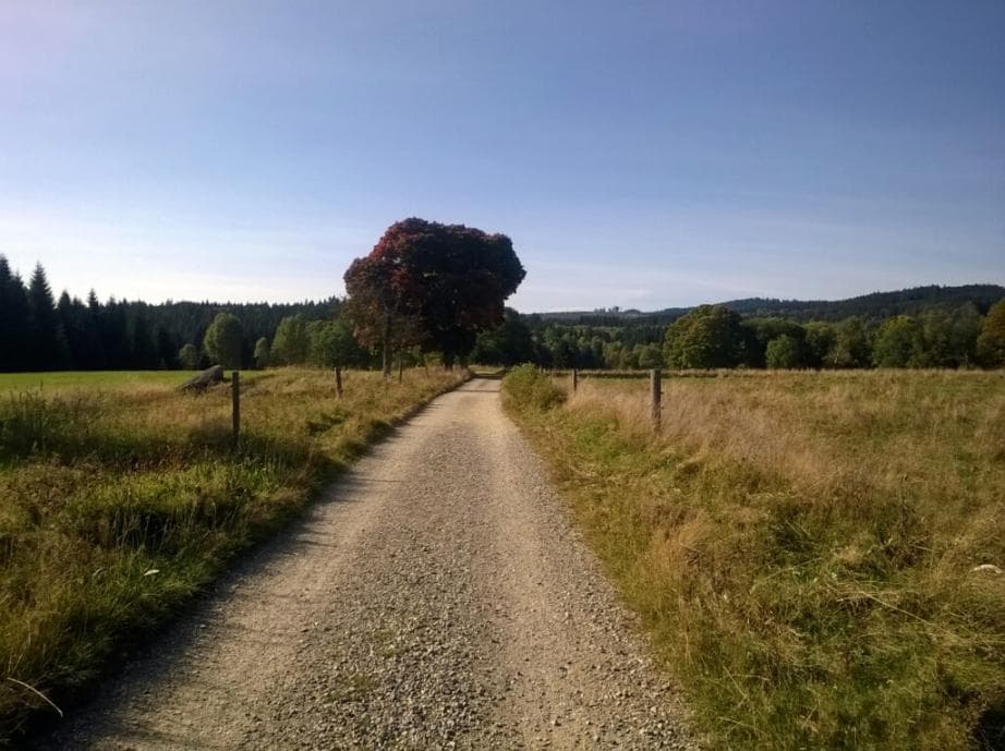 Cyklotrasa Vltavská - Knížecí Pláně