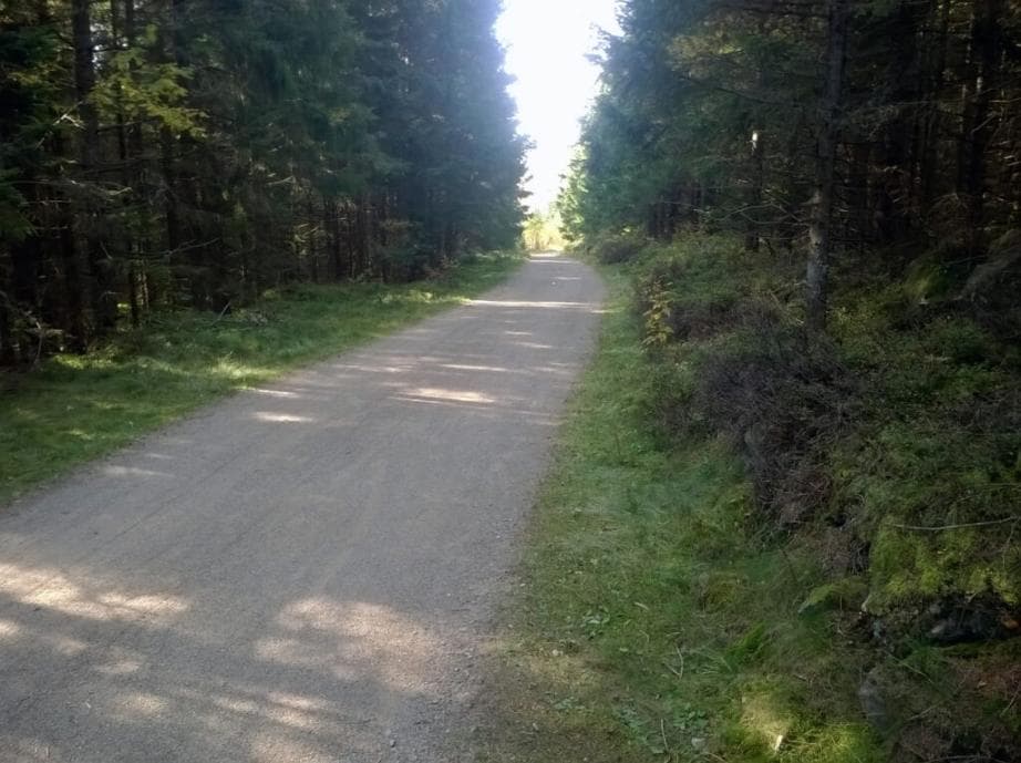 Cyklotrasa Vltavská - za Bučinou